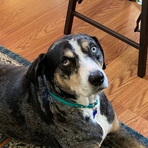 Meet your Posher, Jonathan